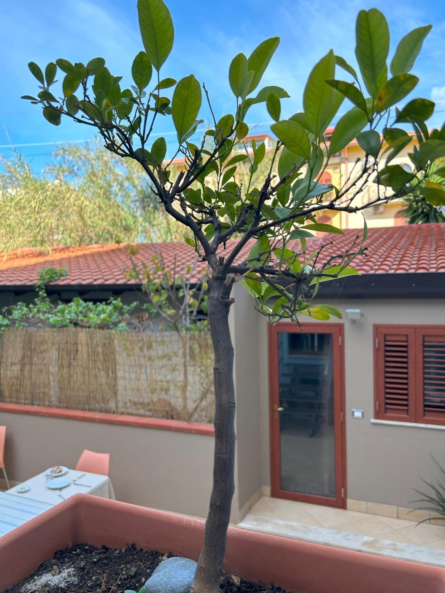 La Piazzetta Bed and Breakfast Giardini Naxos Eksteriør billede